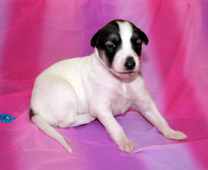 Surf Spots - Girl 2 Top